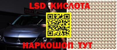 стафф Магадан