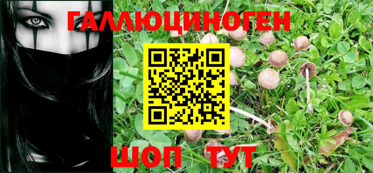 Псилоцибиновые грибы ЛСД  Псилоцибиновые грибы MAGIC MUSHROOMS  наркота  Апрелевка  Вход с VPN 