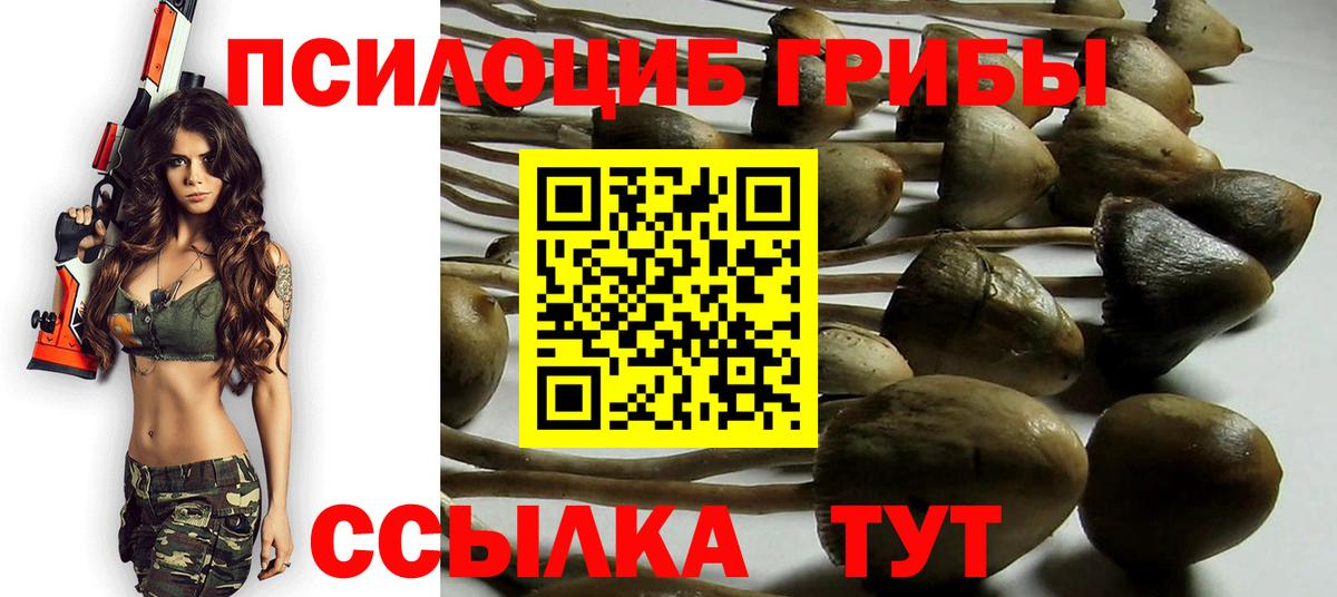 Псилоцибиновые грибы GOLDEN TEACHER Апрелевка